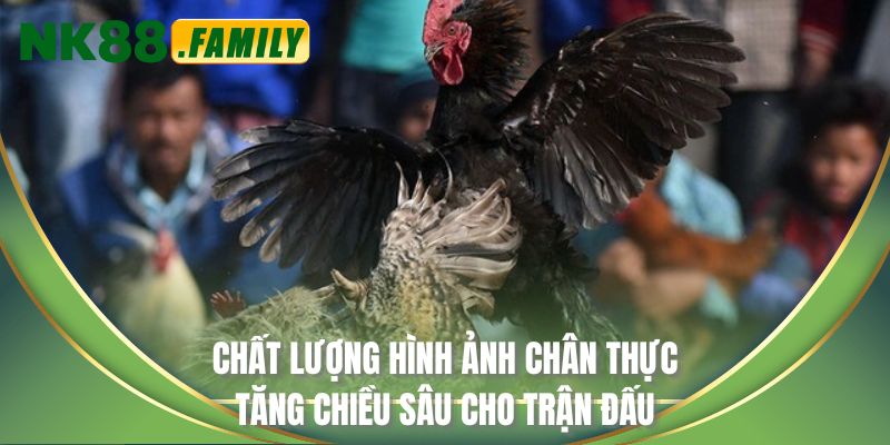 Chất lượng hình ảnh chân thực tăng chiều sâu cho trận đấu