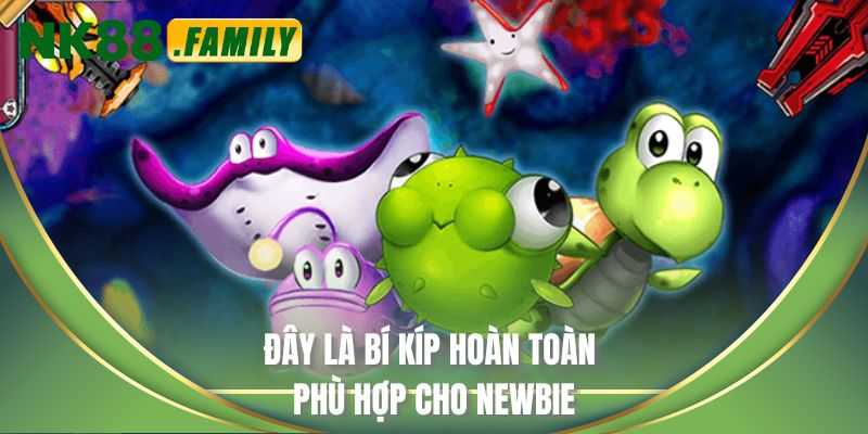 Đây là bí kíp hoàn toàn phù hợp cho newbie